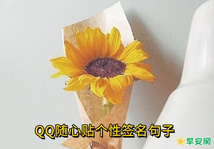 qq随心贴句子图片